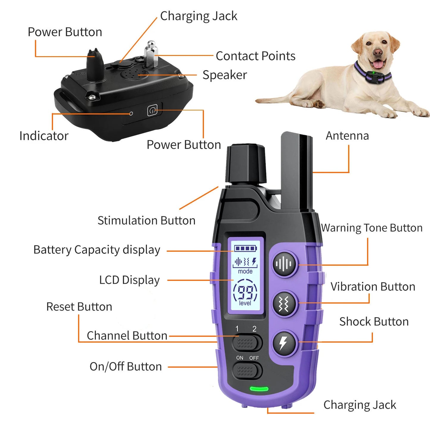 3300Ft Electric Dog Training Collar Remote Control