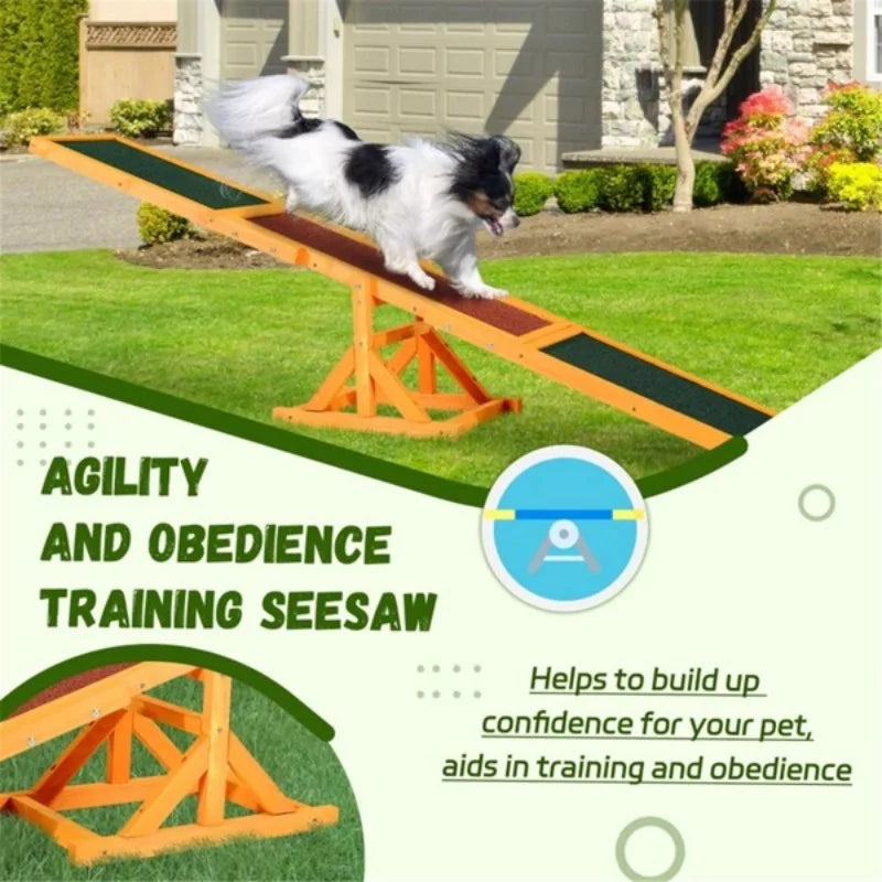 Pet Seesaw Activity Practice Dog Training