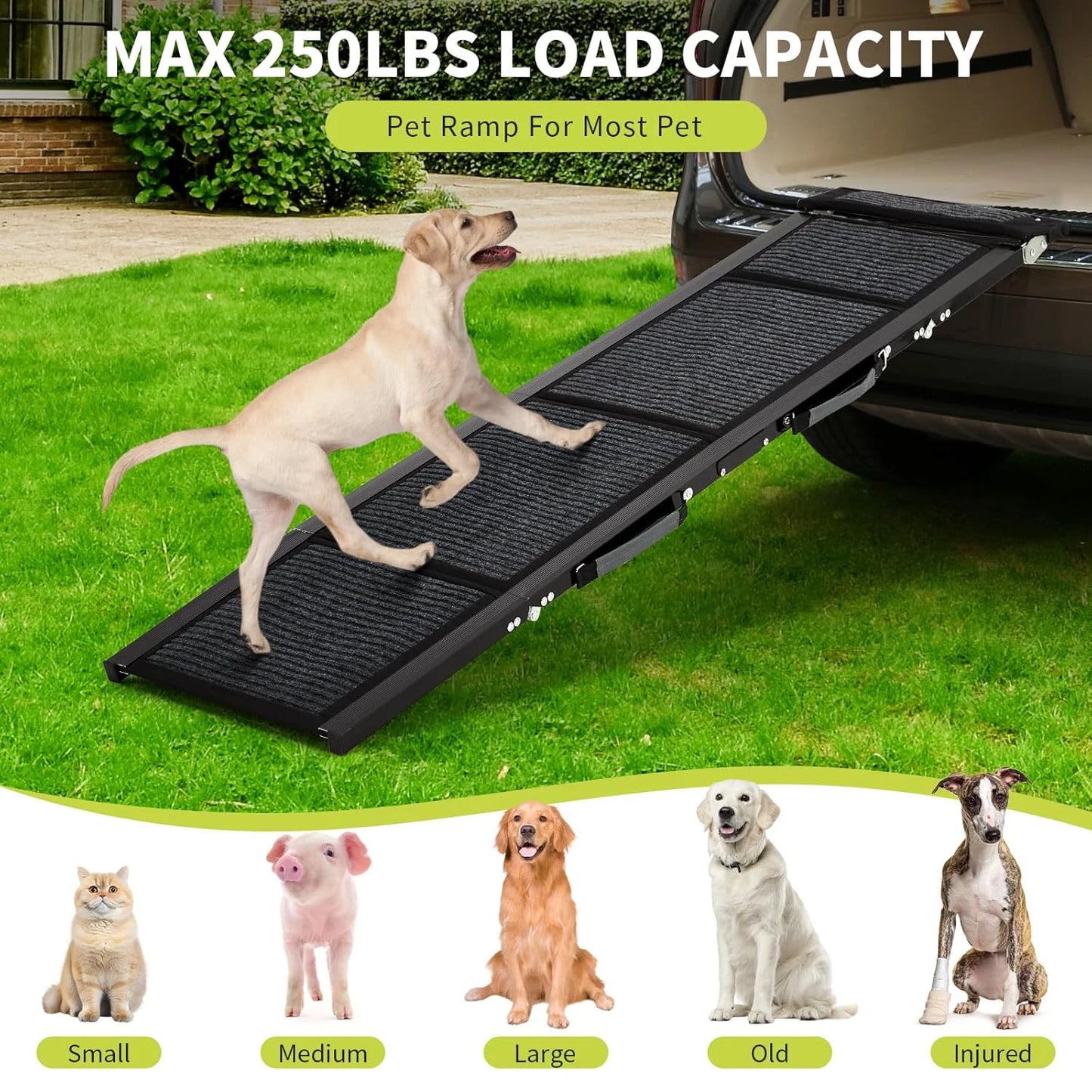HiMISSDog Upgraded Car Dog Ramp Folding Pet Ramp With Non Slip Surface