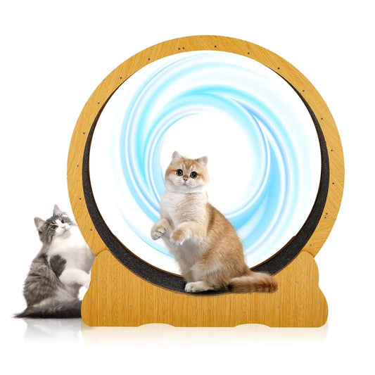 Cat Wheel Exerciser for Indoor Cats, 39.4-inch Large Cat Exercise Wheel for Running Silent, Cat Treadmill with, Customized