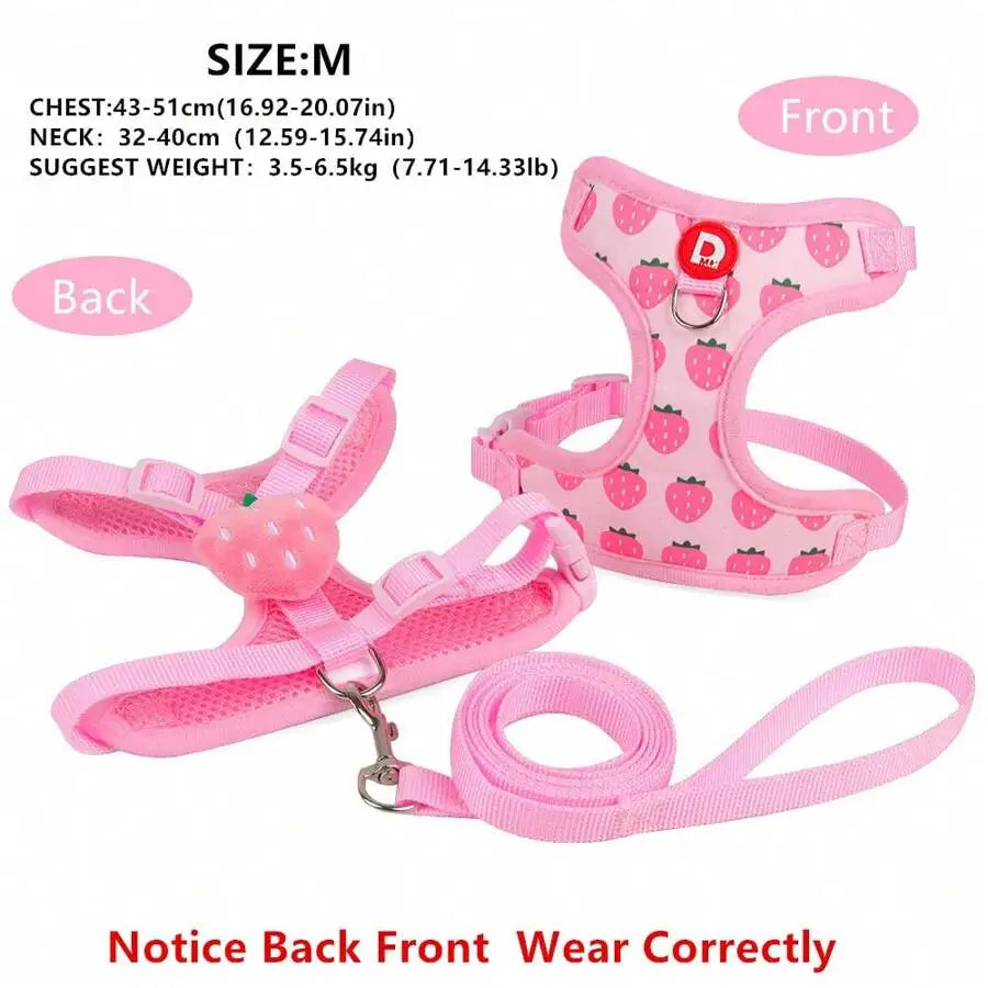 Cute Pet Harness And Leash Set For Small Dogs