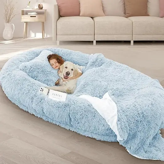 Oversized Memory Foam Dog Bed For Large Pets With Pillow