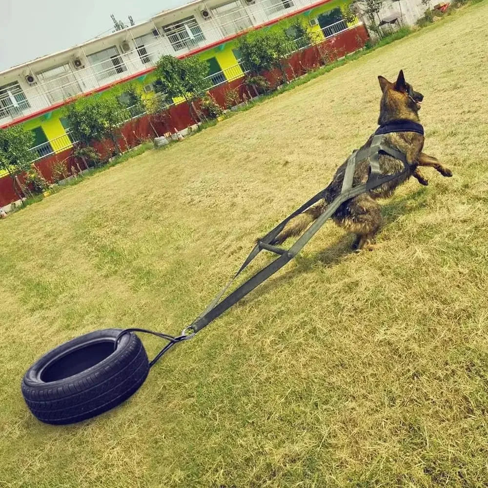 Large Working Dog Pull Training Leash
