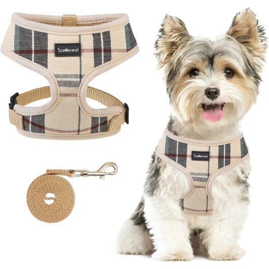 Dog Harness with Leash