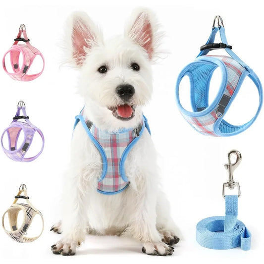 Extra Small Dog Harness and Leash