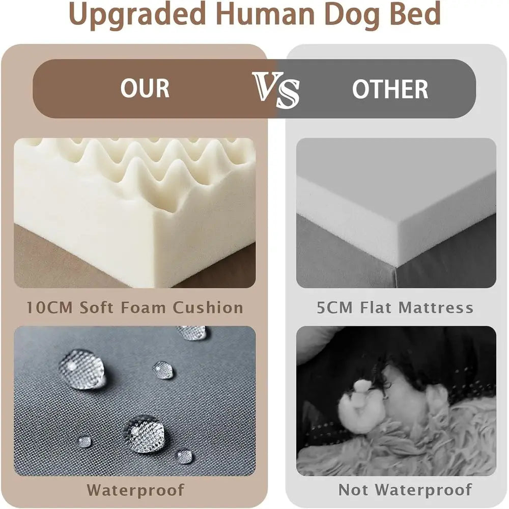 Oversized Memory Foam Dog Bed For Large Pets With Pillow