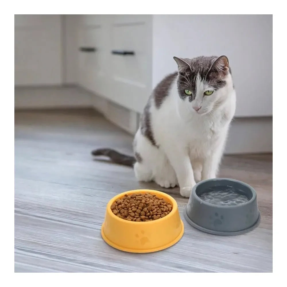Plastic Dog Bowl Stackable For Puppies With Cute Print