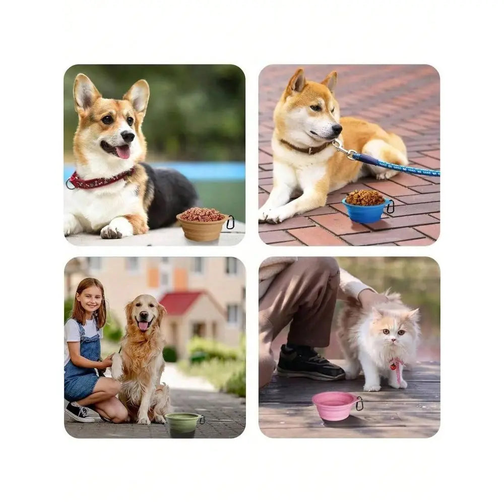 Collapsible Dog Bowl Portable Travel Foldable Dishwasher Safe