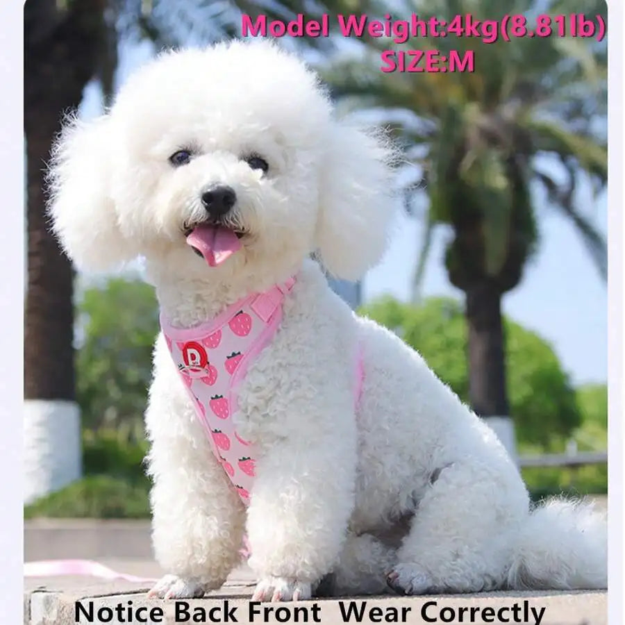 Cute Pet Harness And Leash Set For Small Dogs