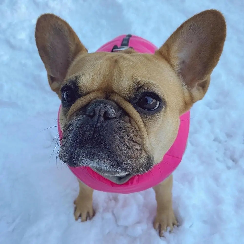 Warm Fleece Dog Jacket