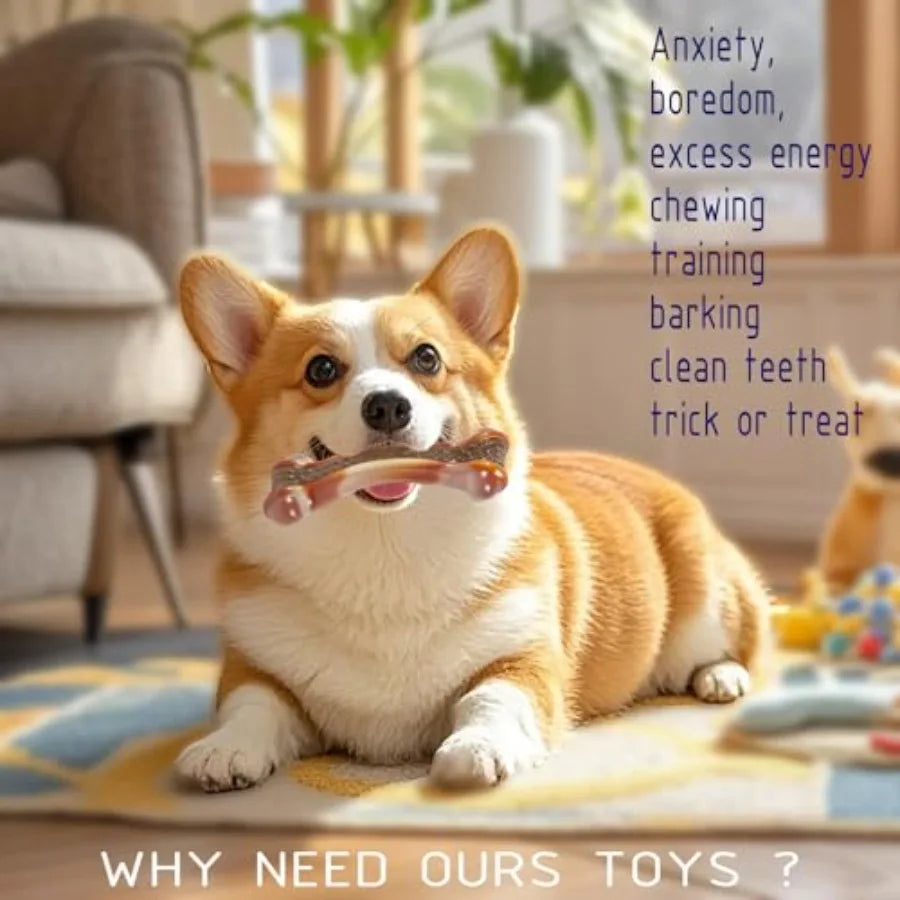 Interactive Wooden Pet Toy