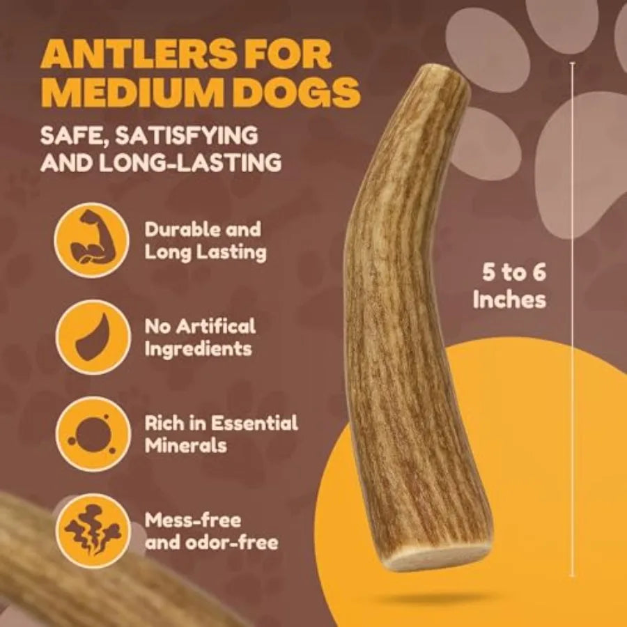 Yao Hui Huang Deer Antler Dog Chews 3-Pack Long Lasting