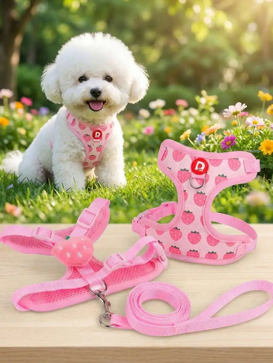 Cute Pet Harness And Leash Set For Small Dogs