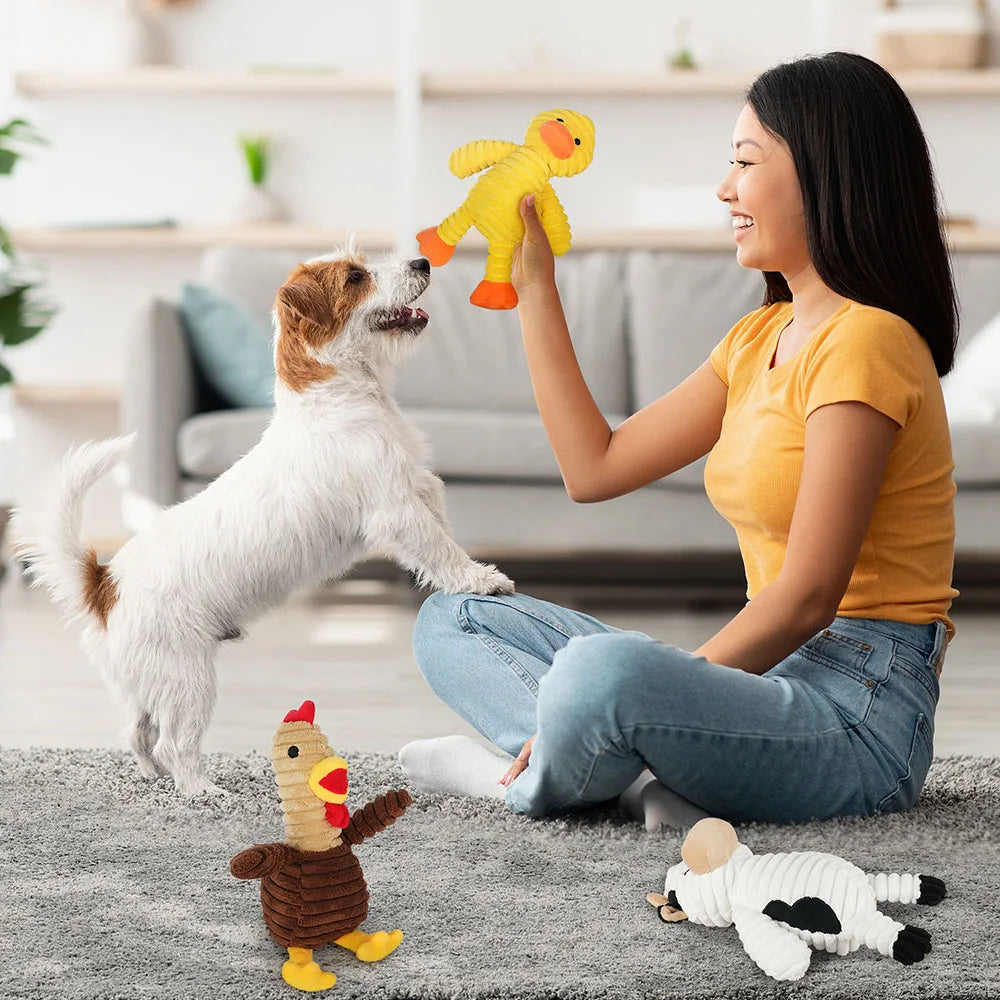 5 Pack Dog Toys Plush Dog Squeaky Toys