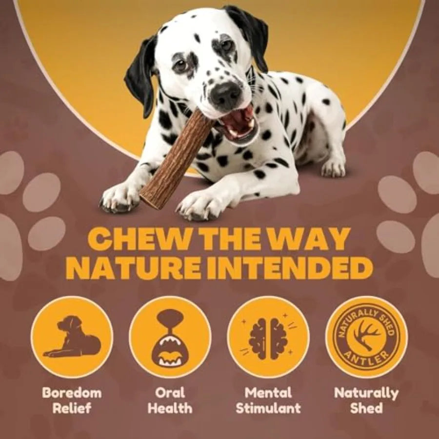 Jumbo Deer Antler Dog Chews – 2 Pack