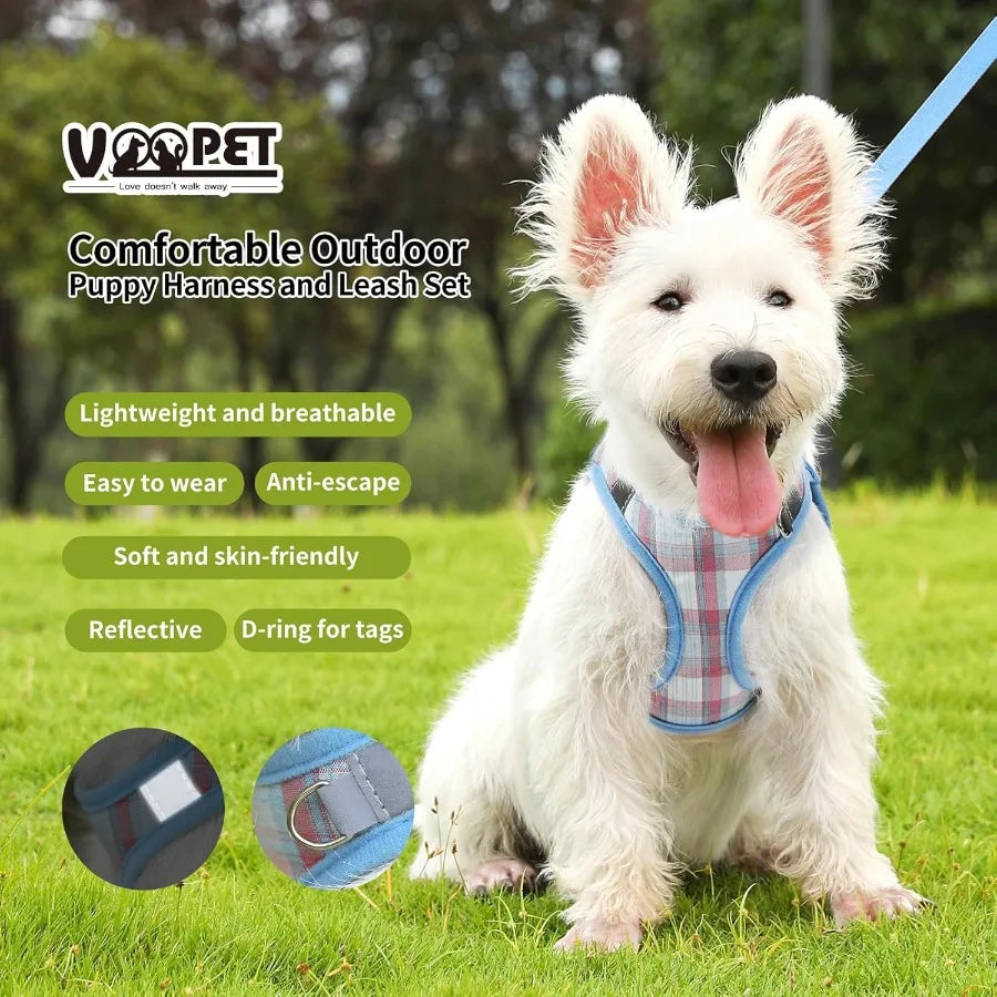 Extra Small Dog Harness and Leash