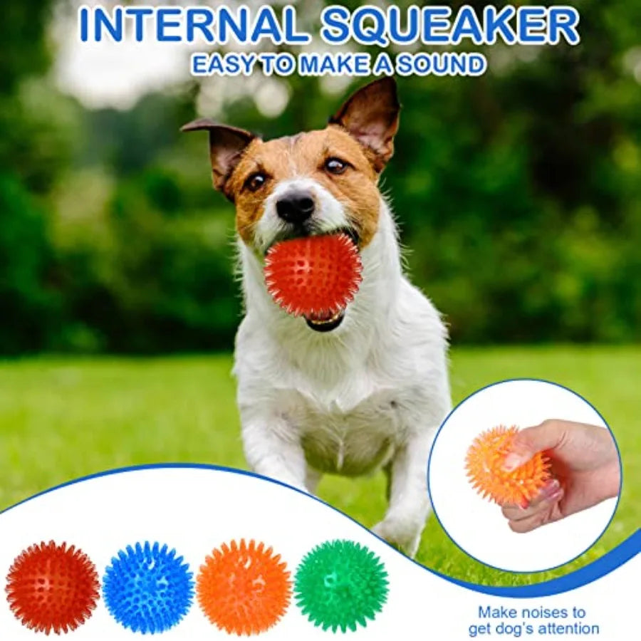 Interactive Activity Pet Toy