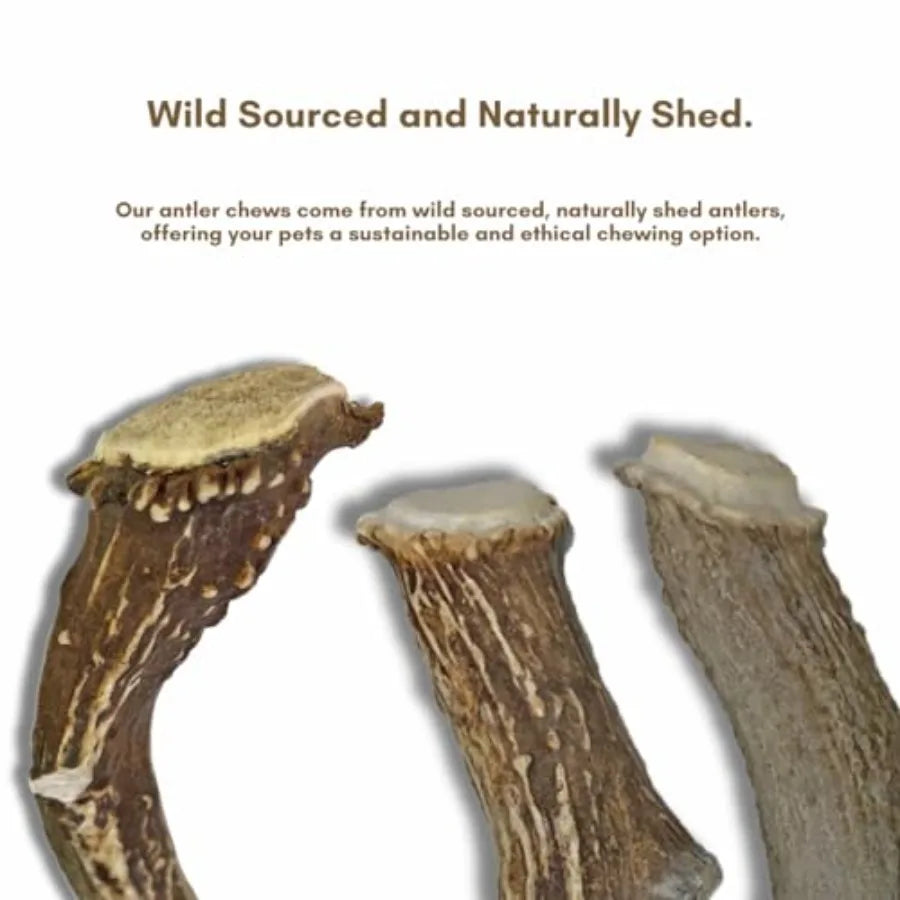 YAO HUI HUANG Deer Antler Chews 3 Packages Large Dogs