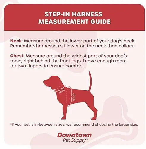 Comfortable small dog harness with adjustable padded mesh and reflective trim – perfect for downtown pet supply needs.