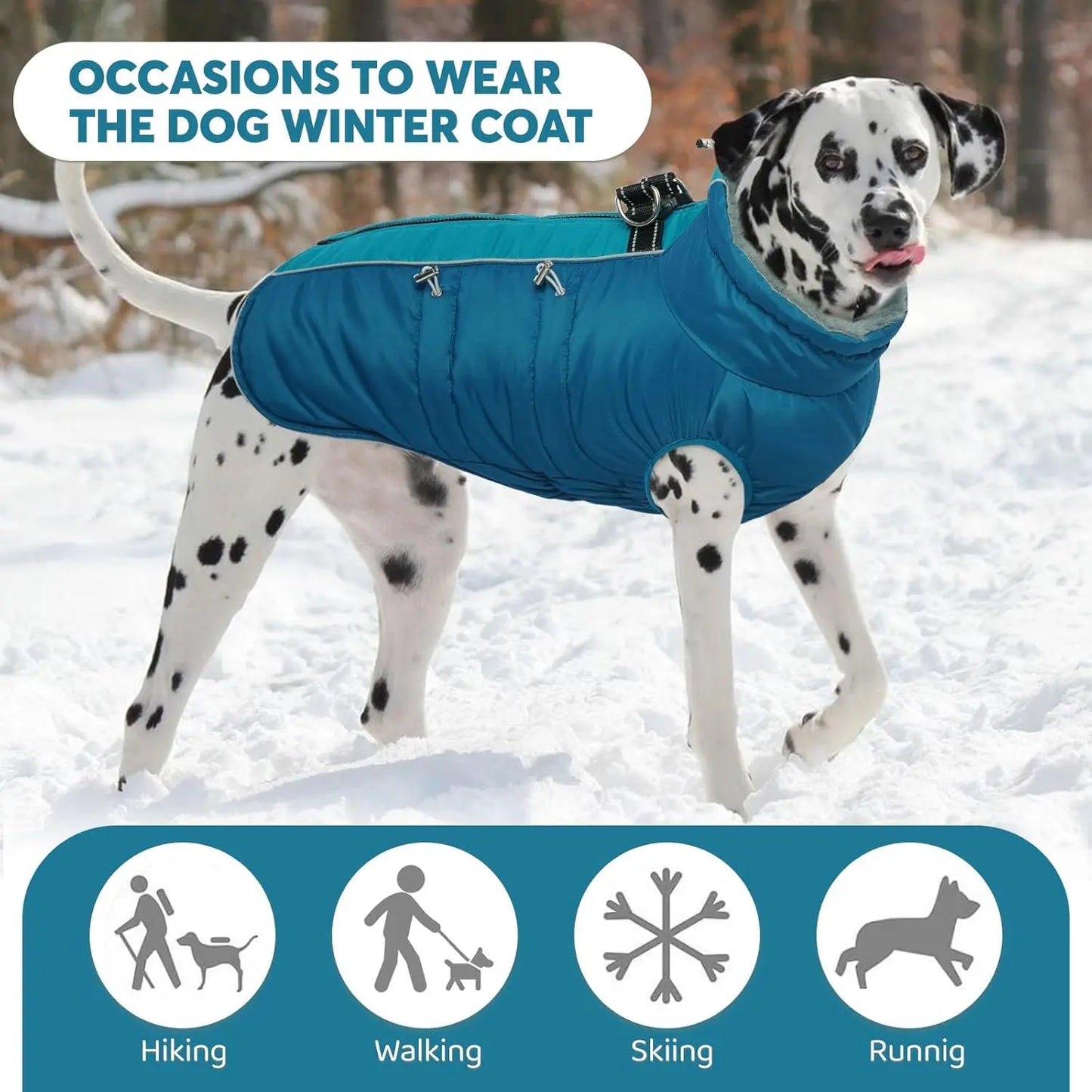 Waterproof Reflective Dog Jacket with Harness