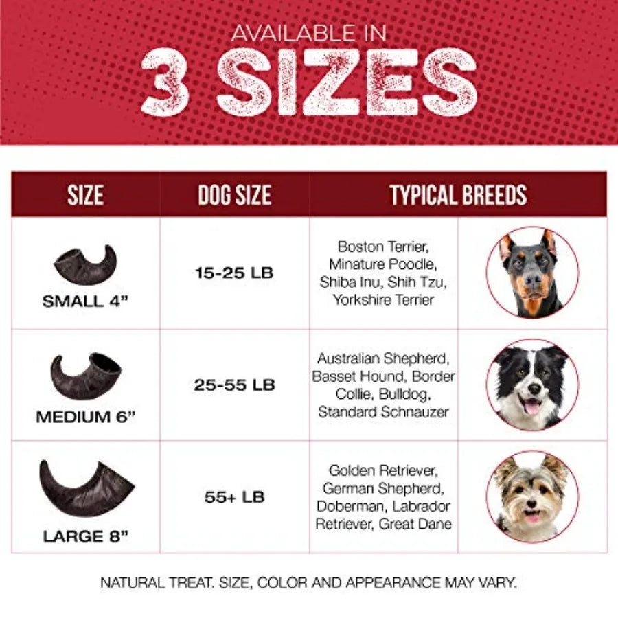 Water Buffalo Horn Dog Chew 4 Pack - Large 8"