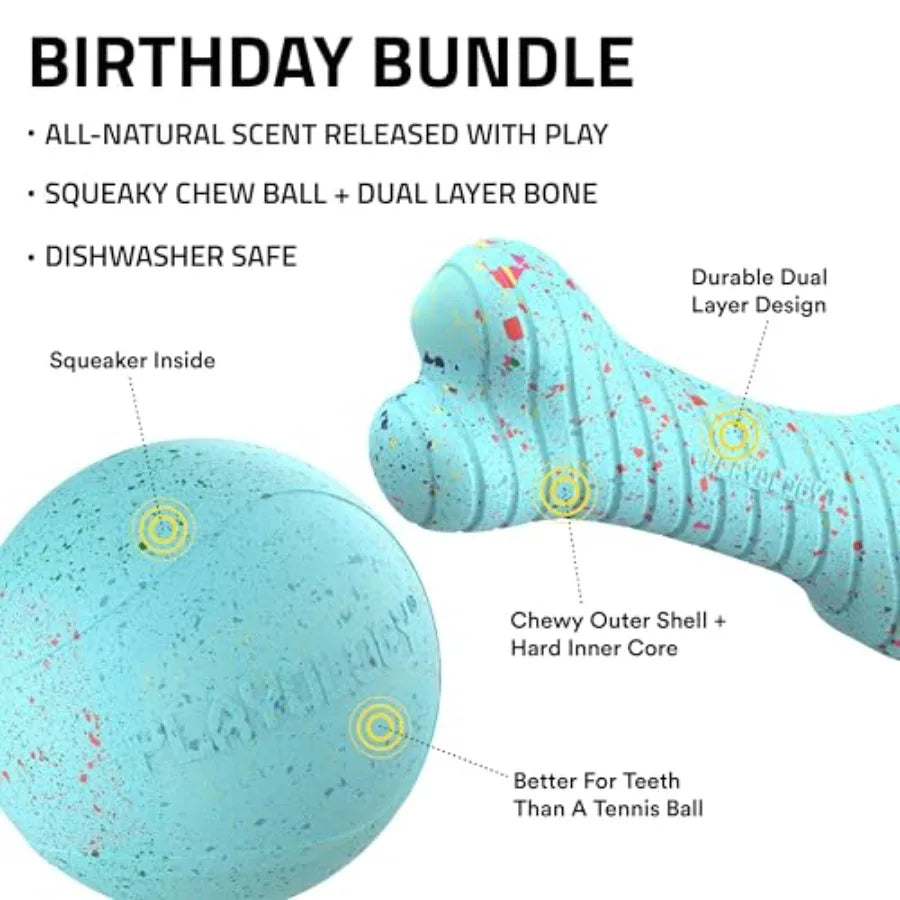 Birthday Box Dog Toys for Large Dogs