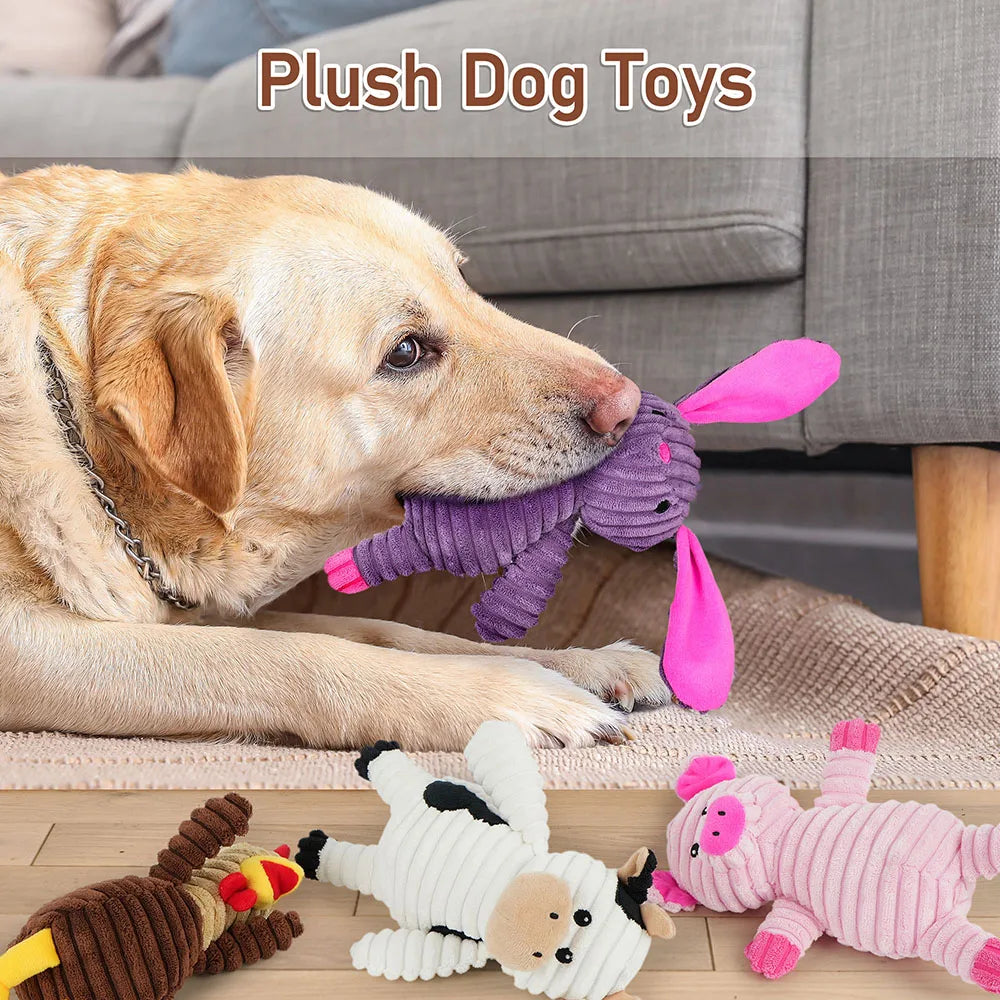 5 Pack Dog Toys Plush Dog Squeaky Toys