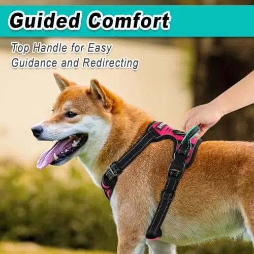 Adjustable Barkbaay Pet Harness for Dogs