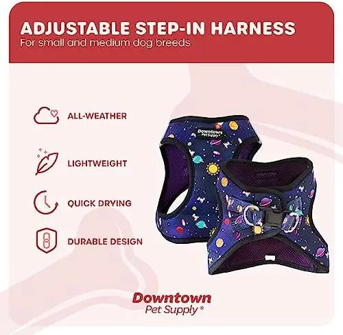 Comfortable small dog harness with adjustable padded mesh and reflective trim – perfect for downtown pet supply needs.