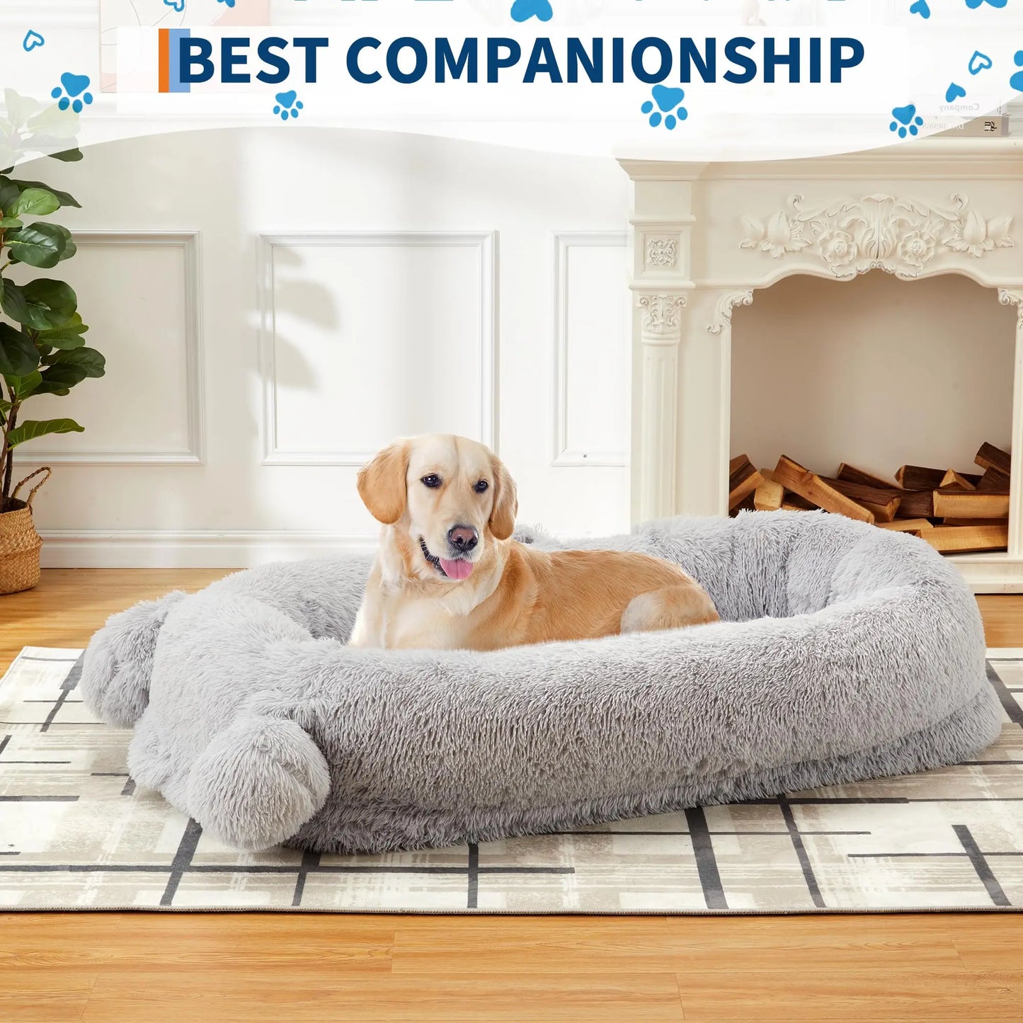 Large Human Size Dog Bed For Adults & Pets